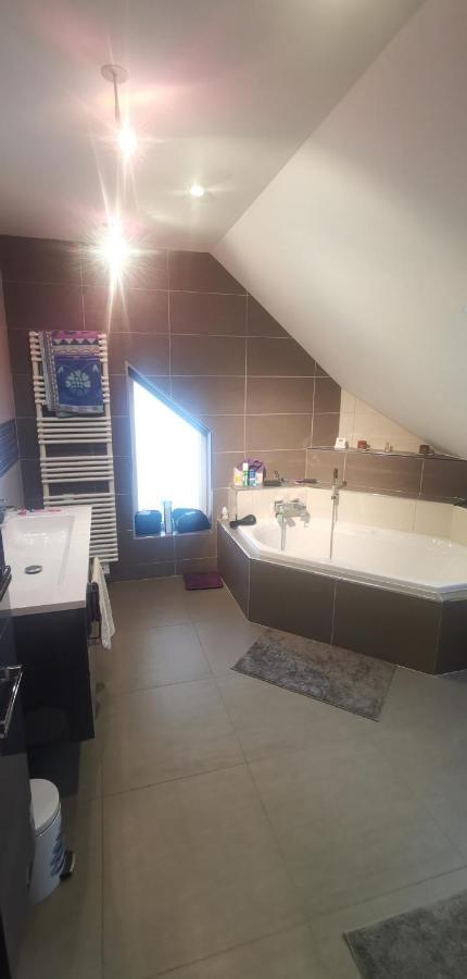 Apartament Chez Manu Voellerdingen Zewnętrze zdjęcie